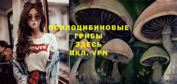 стаф Армянск