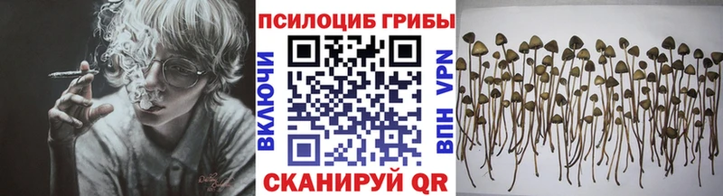 хочу   Поронайск  shop телеграм  Псилоцибиновые грибы MAGIC MUSHROOMS 